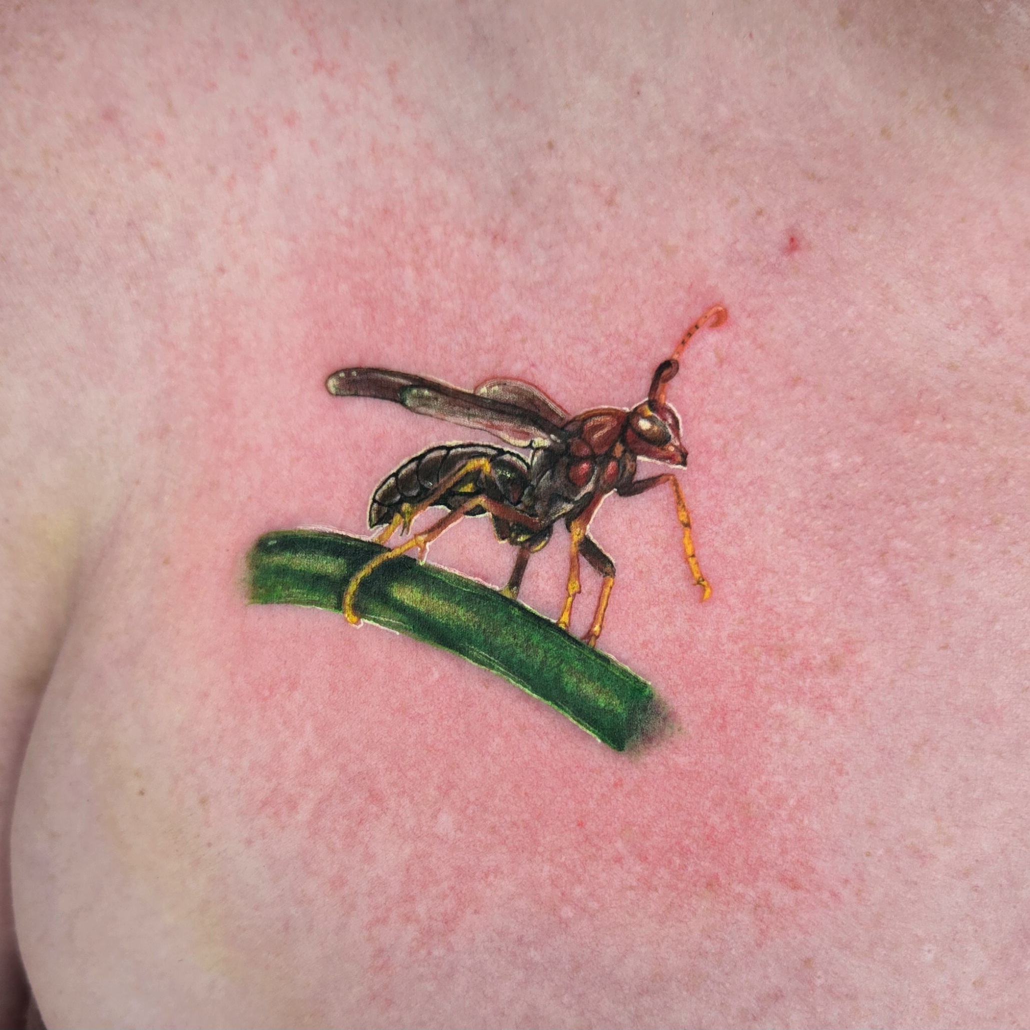 Work by Tattoos by Liev