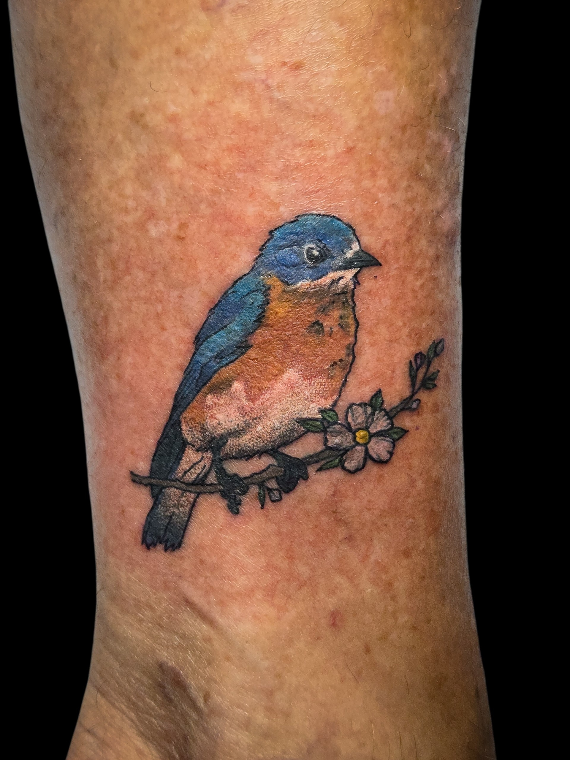 Work by Tattoos by Liev